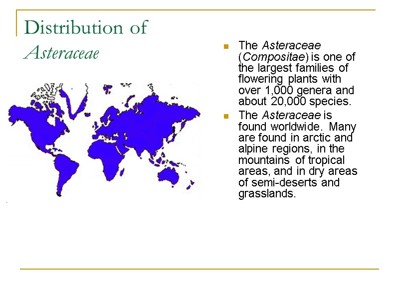 Distribution of  Asteraceae      The Asteraceae (Compositae) is one